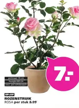 Ranzijn ROZENSTRUIK aanbieding