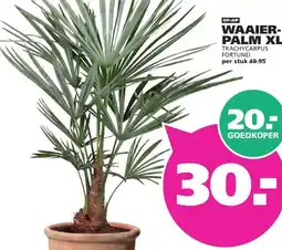 Ranzijn WAAIER- PALM XL aanbieding