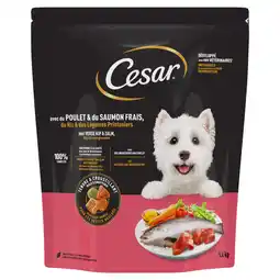 Zooplus 1.4kg Cesar Adult met kip, zalm en groenten droogvoer voor honden aanbieding