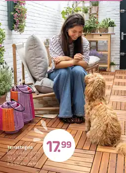 Coppelmans Terrastegels aanbieding