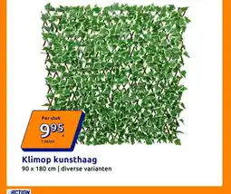 Action Klimop kunsthaag aanbieding