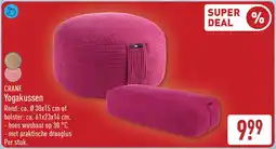 ALDI Crane Yogakussen aanbieding
