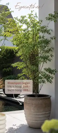 Coppelmans Bloempot ringen aanbieding