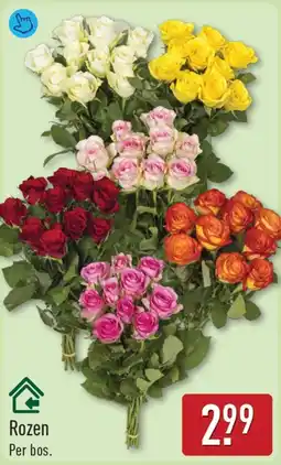 ALDI Rozen aanbieding