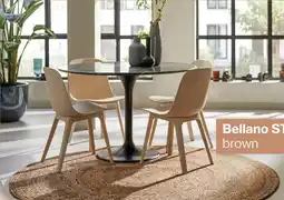 Roobol Bellano S brown aanbieding