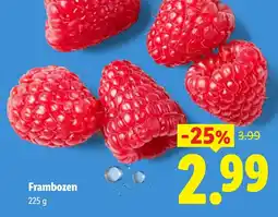 Lidl Frambozen aanbieding