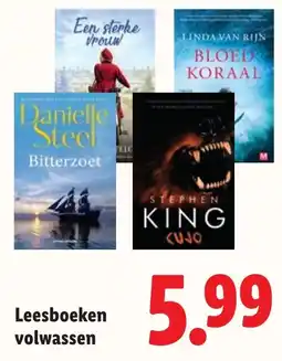 Lidl Leesboeken volwassen aanbieding