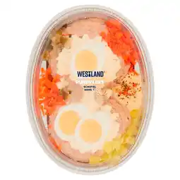 PLUS Westland Rundvleesschotel aanbieding