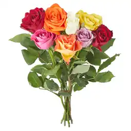 PLUS PLUS Rozen bont mix aanbieding