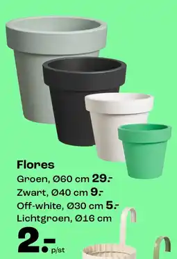 Kwantum Flores aanbieding