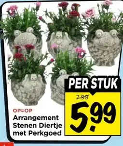 Vomar Voordeelmarkt Arrangement Stenen Diertje met Perkgoed aanbieding