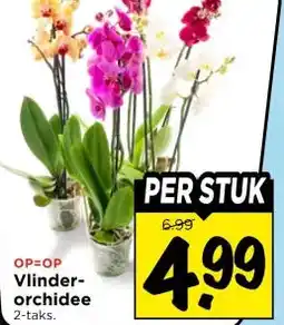 Vomar Voordeelmarkt Vlinder- orchidee aanbieding