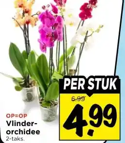 Vomar Voordeelmarkt Vlinder- orchidee aanbieding