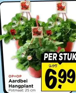 Vomar Voordeelmarkt Aardbei Hangplant aanbieding