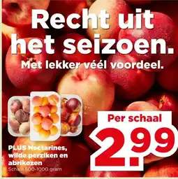 PLUS PLUS Nectarines, wilde perziken en abrikozen aanbieding