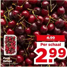 PLUS PLUS Kersen aanbieding