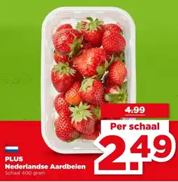 PLUS PLUS Nederlandse Aardbeien aanbieding