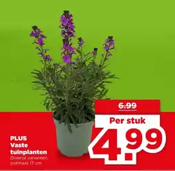 PLUS PLUS Vaste tuinplanten aanbieding