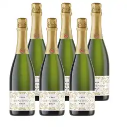 PLUS Bienvenido Cava Brut aanbieding