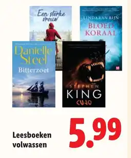 Lidl Leesboeken volwassen aanbieding