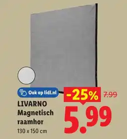 Lidl Livarno Magnetisch raamhor aanbieding
