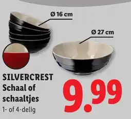 Lidl Silvercrest schaal of schaaltjes aanbieding