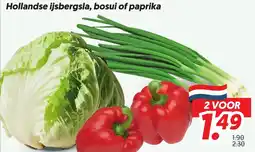 Dekamarkt Hollandse ijsbergsla, bosui of paprika aanbieding