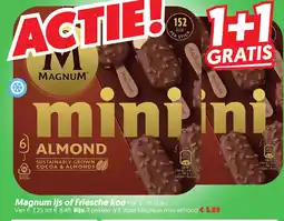 Dekamarkt Magnum ijs of Friesche koe aanbieding
