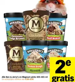 Albert Heijn Alle Ben & Jerry's en Magnum pints aanbieding