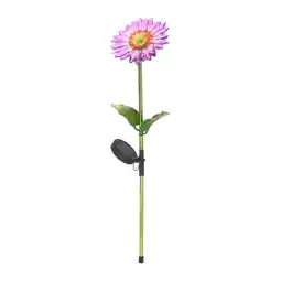 Van Cranenbroek Bloem solar 75 cm aanbieding