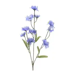 Van Cranenbroek Korenbloem 55cm aanbieding
