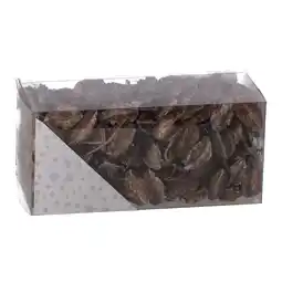 Van Cranenbroek Exotische mix natuur white-wash 6 x 6 x 14 cm aanbieding