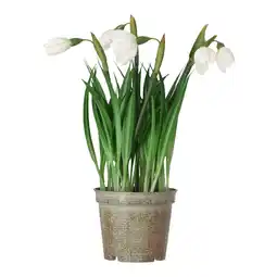 Van Cranenbroek Bloem sneeuwklokje 24 cm aanbieding
