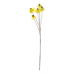 Van Cranenbroek Coneflower geel 92 cm aanbieding