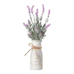 Van Cranenbroek Lavendel in pot 32 cm aanbieding