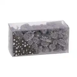 Van Cranenbroek Exotische mix natuur zilver 6 x 6 x 14 cm aanbieding