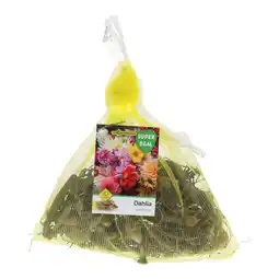 Van Cranenbroek Dahlia Variaty mix per 10 aanbieding