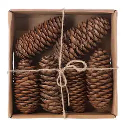 Van Cranenbroek Raicone nature 6 stuks aanbieding