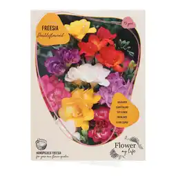 Van Cranenbroek Freesia dubbel mix 15 stuks aanbieding