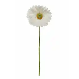 Van Cranenbroek Gerbera wit 50cm aanbieding