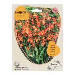 Van Cranenbroek Montbretia 30 stuks aanbieding