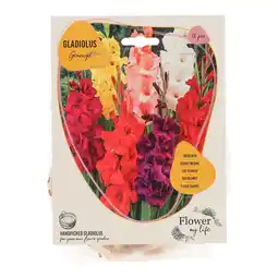 Van Cranenbroek Gladiool gemengd 15 stuks aanbieding