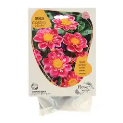 Van Cranenbroek Dahlia flower my life bijen aanbieding