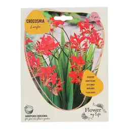 Van Cranenbroek Crocosmia 10 stuks aanbieding