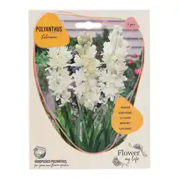 Van Cranenbroek Polyanthus Tuberosa 5 stuks aanbieding