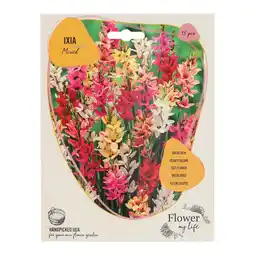 Van Cranenbroek Ixia 15 stuks aanbieding