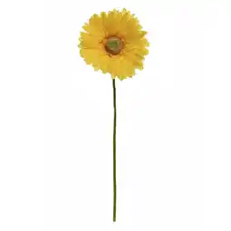 Van Cranenbroek Gerbera geel 50cm aanbieding