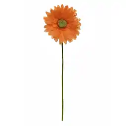 Van Cranenbroek Gerbera oranje 50cm aanbieding