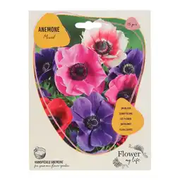 Van Cranenbroek Anemone mix 15 stuks aanbieding