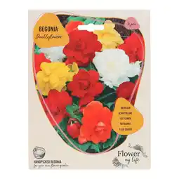 Van Cranenbroek Begonia Dubbel mix 5 stuks aanbieding